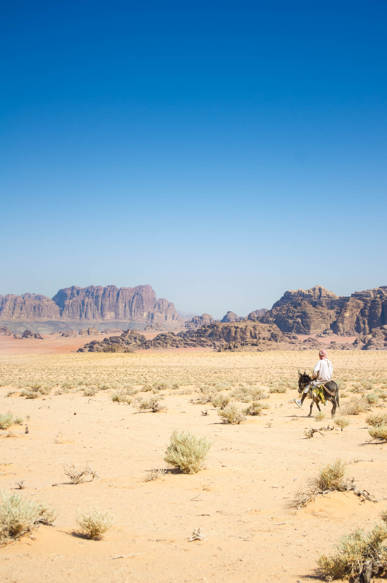 Wari Rum Jordanie