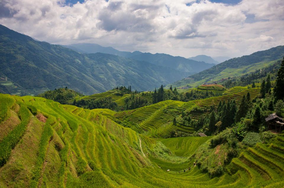 Guilin et les Rizières du dos du Dragon