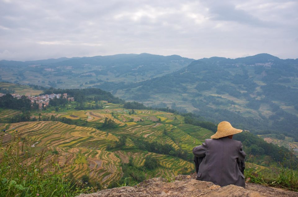 Yunnan : Les rizières de Yuanyang