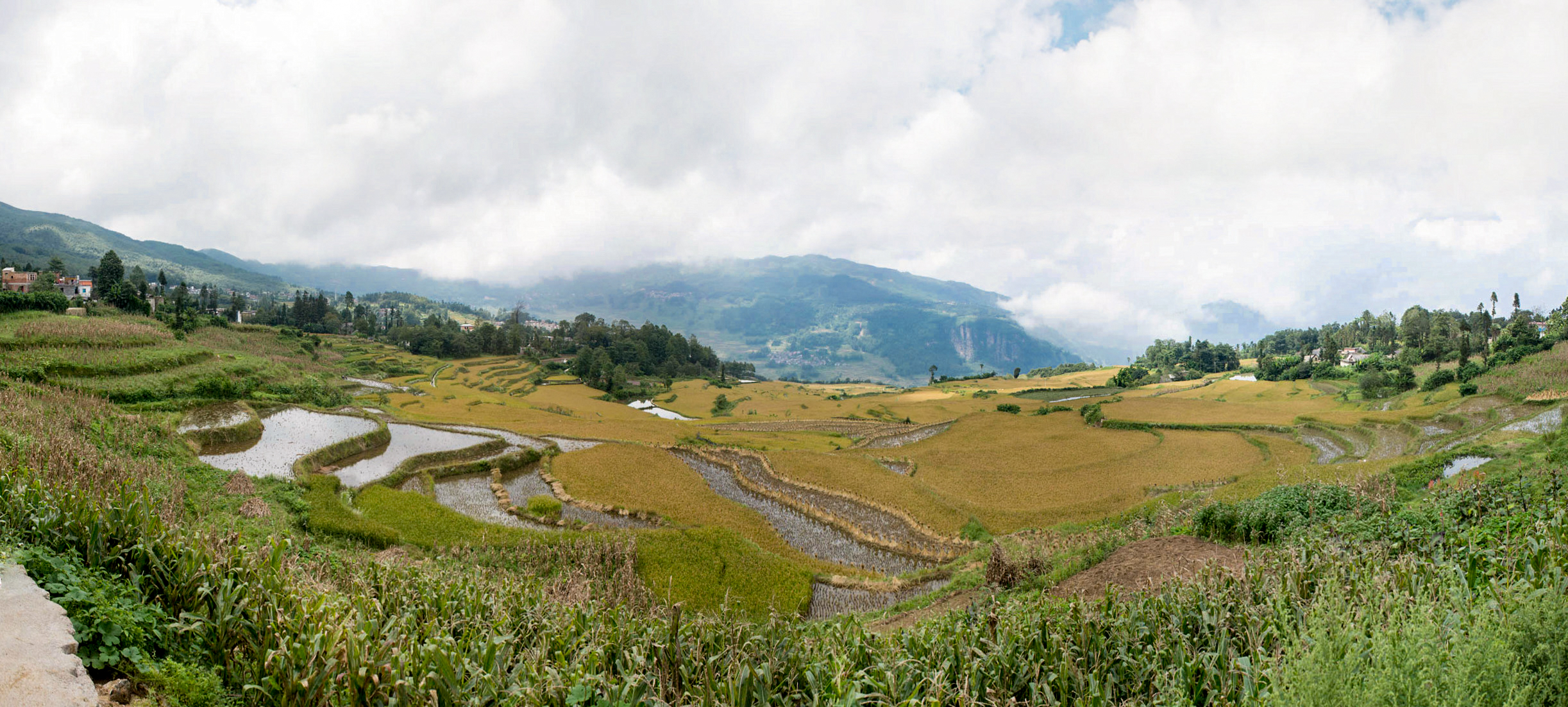 Rizières de Yuanyang