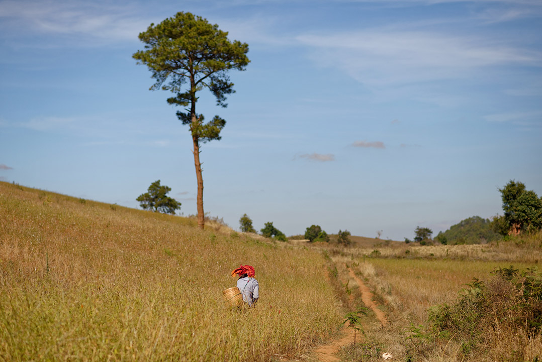 Kalaw Birmanie