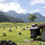 coqs camiguin