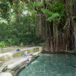 Old Balete Tree Siquijor