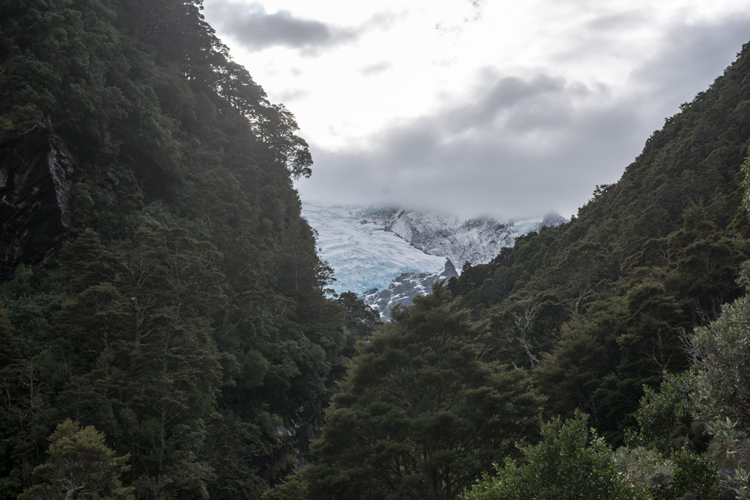 Glacier robb roy wanaka