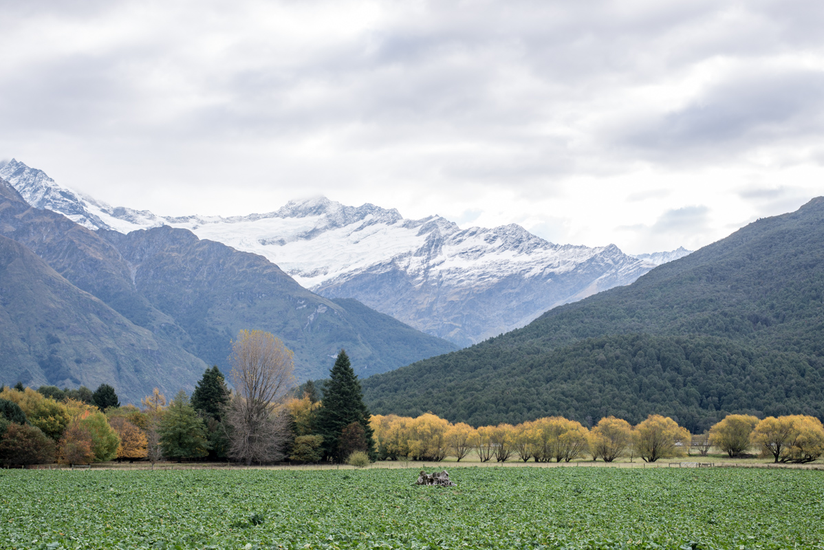 randonnée Wanaka