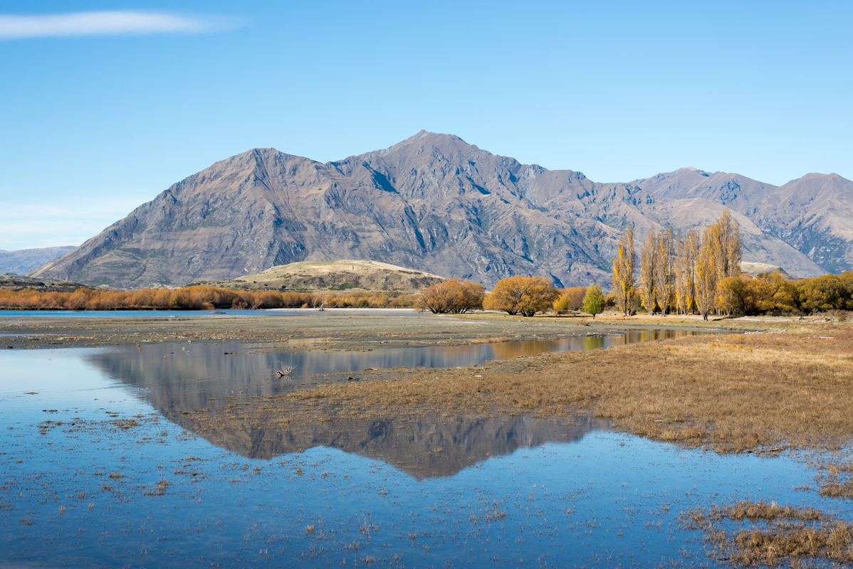 randonnée Wanaka