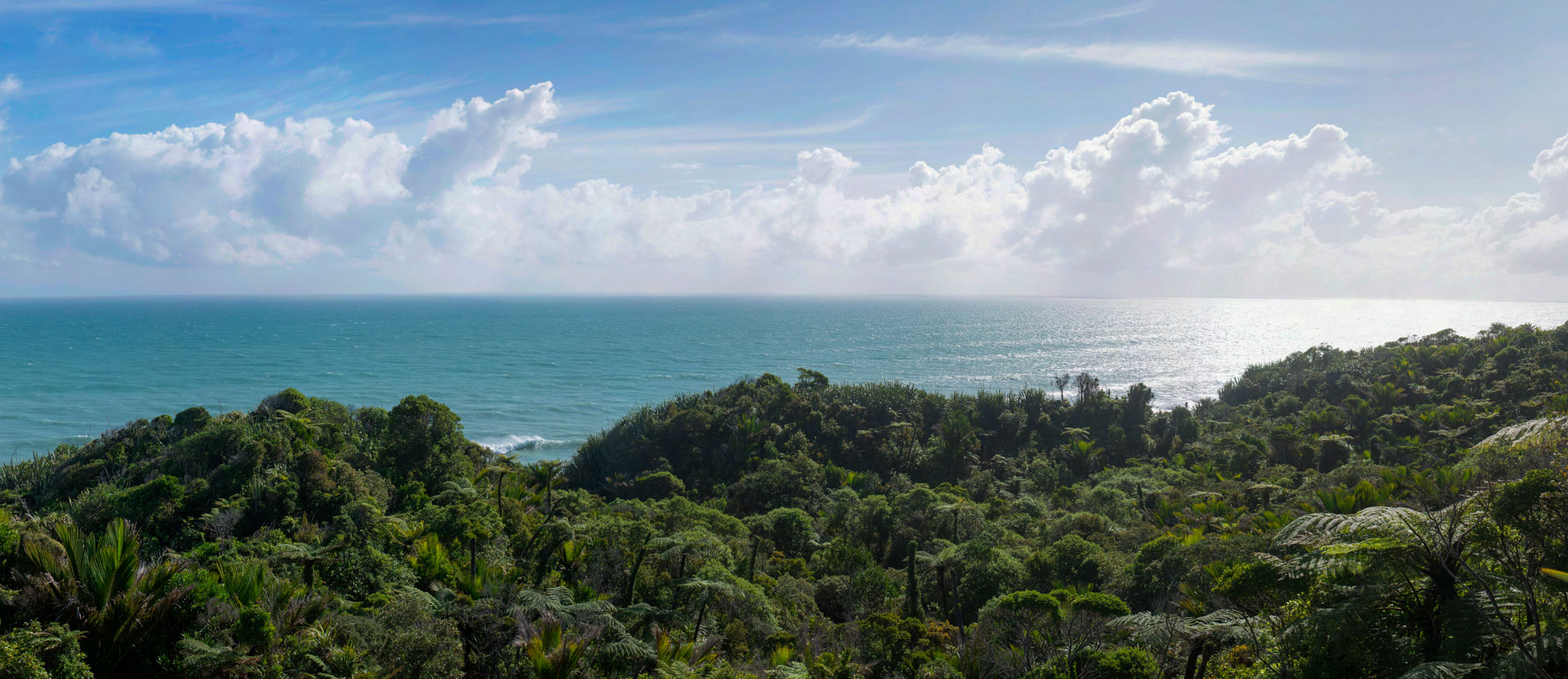 Elizabeth Point NZ