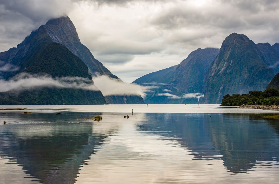 Nouvelle-Zélande #8 : Milford Sound