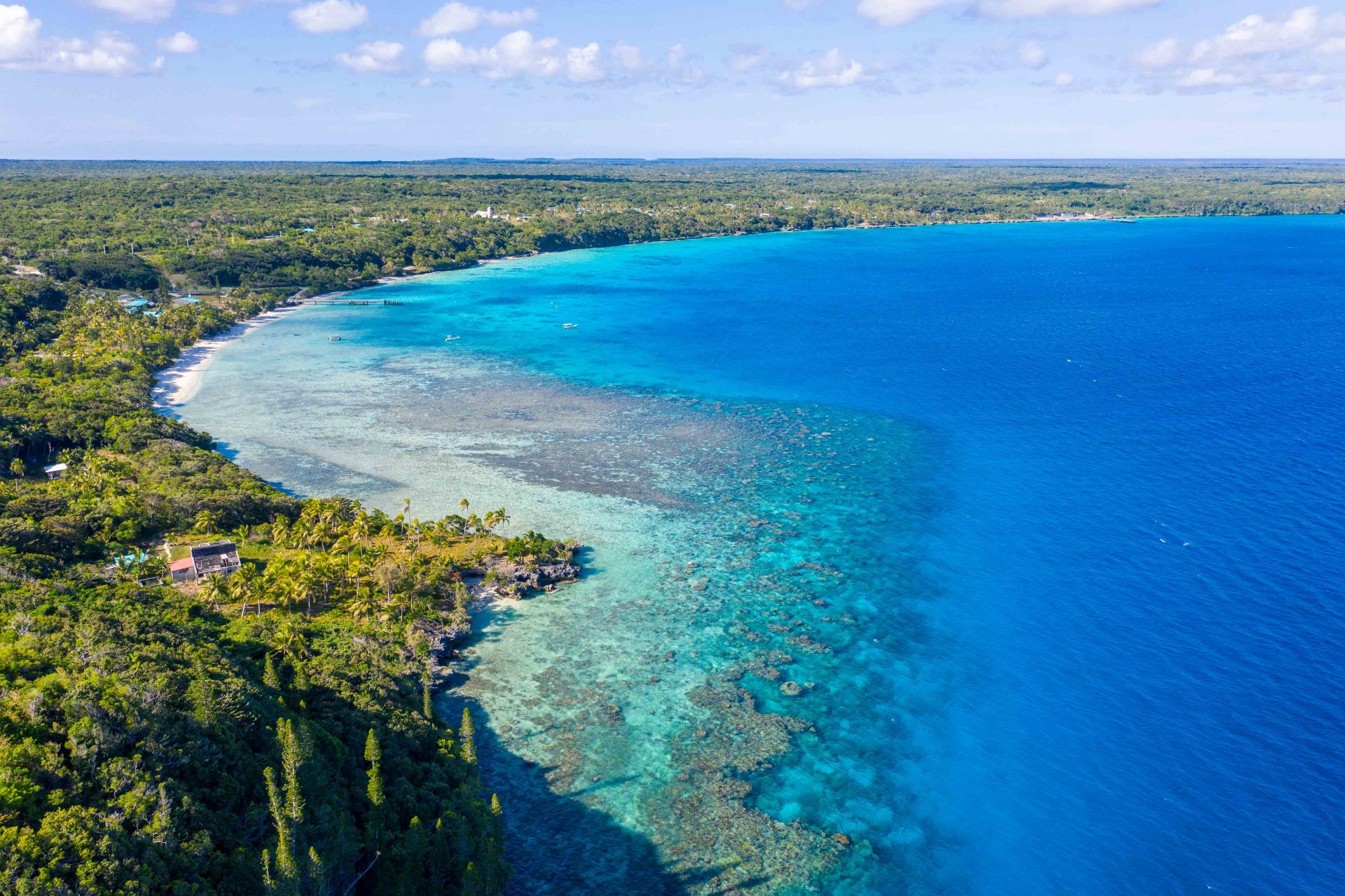 Baie du santal