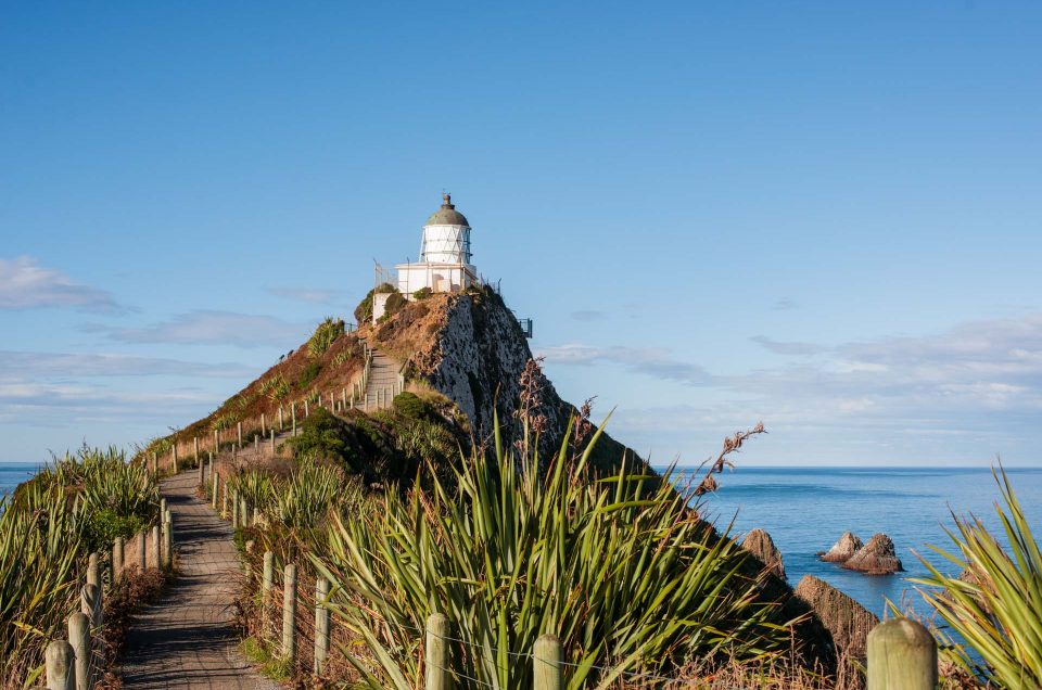 Nouvelle-Zélande #9 : La région des Catlins