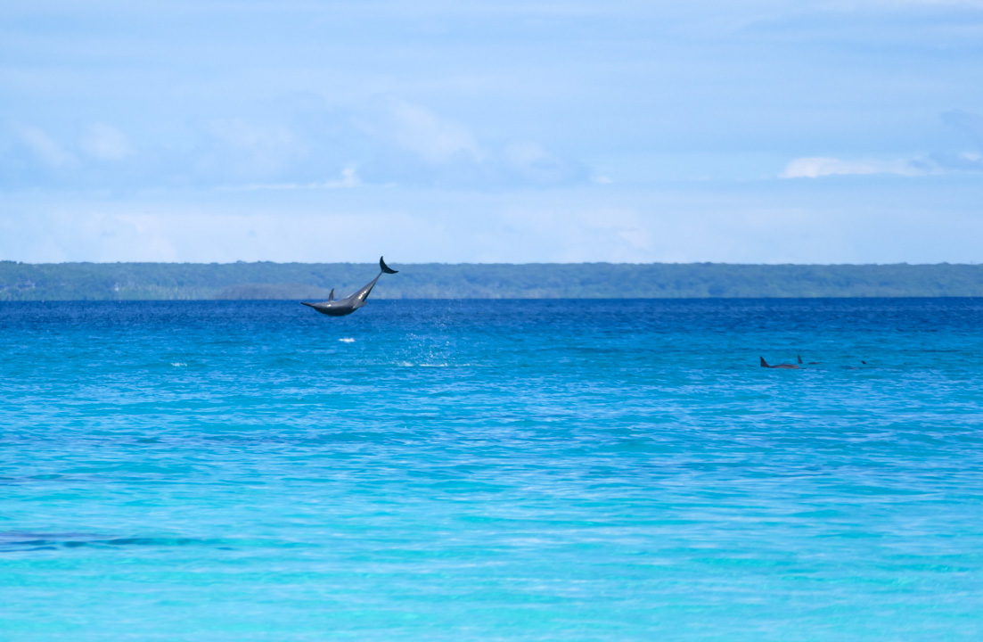 dauphin kiki beach lifou