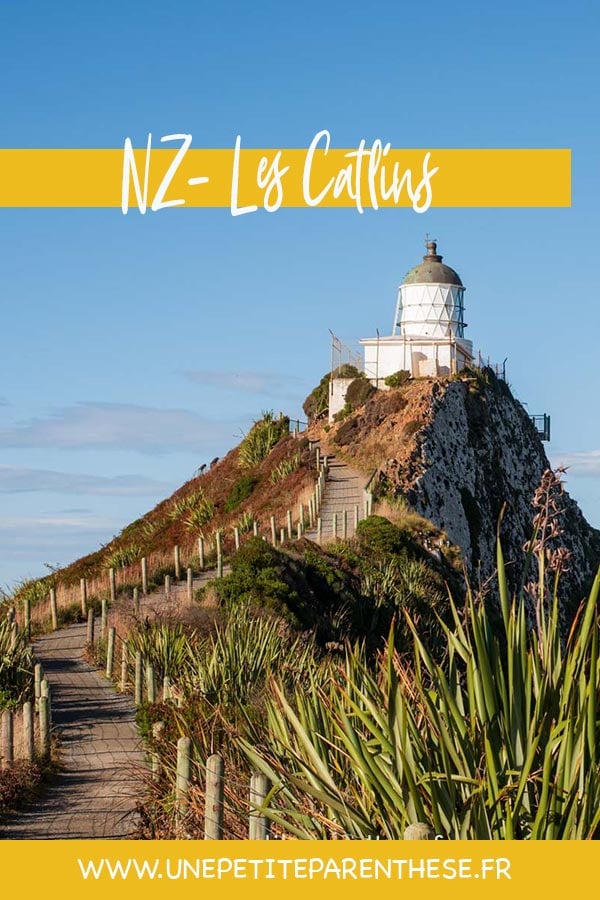 Visiter les catlins