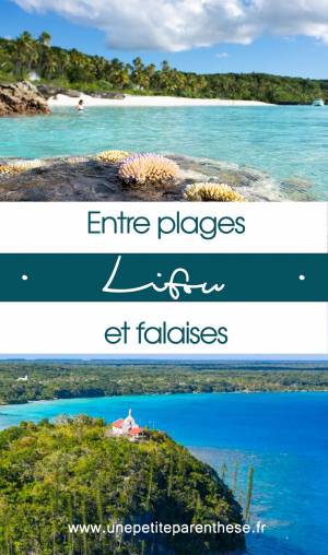 lifou-pin-03 lifou-pin-03