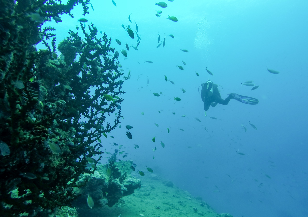 Vanuatu – Santo : Plongée & Canyoning