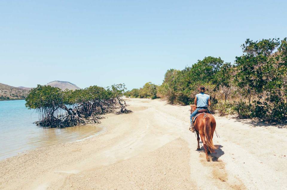 Randonnée équestre et camping à l’ilot Puen