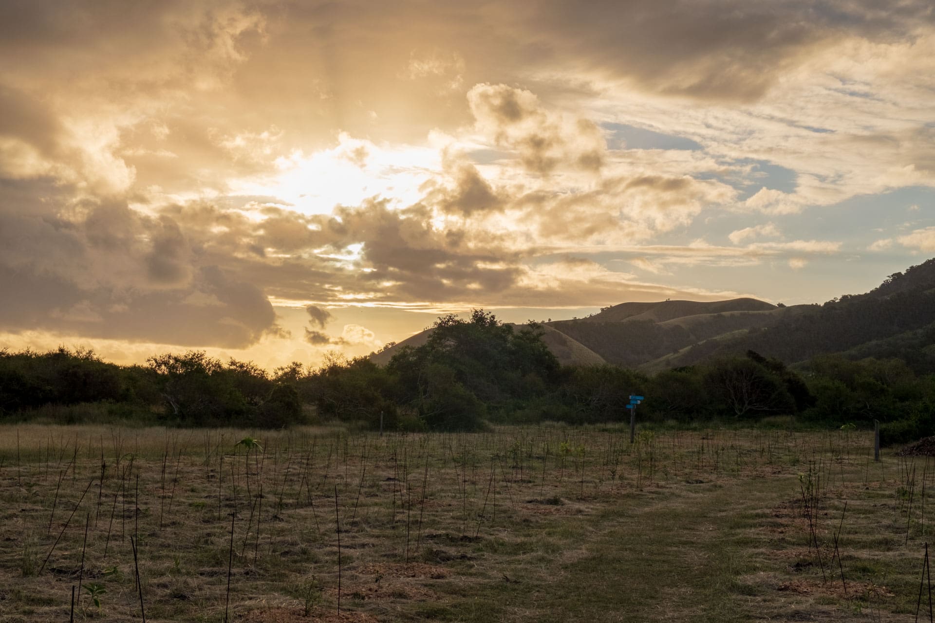 Sunset Domaine de Deva