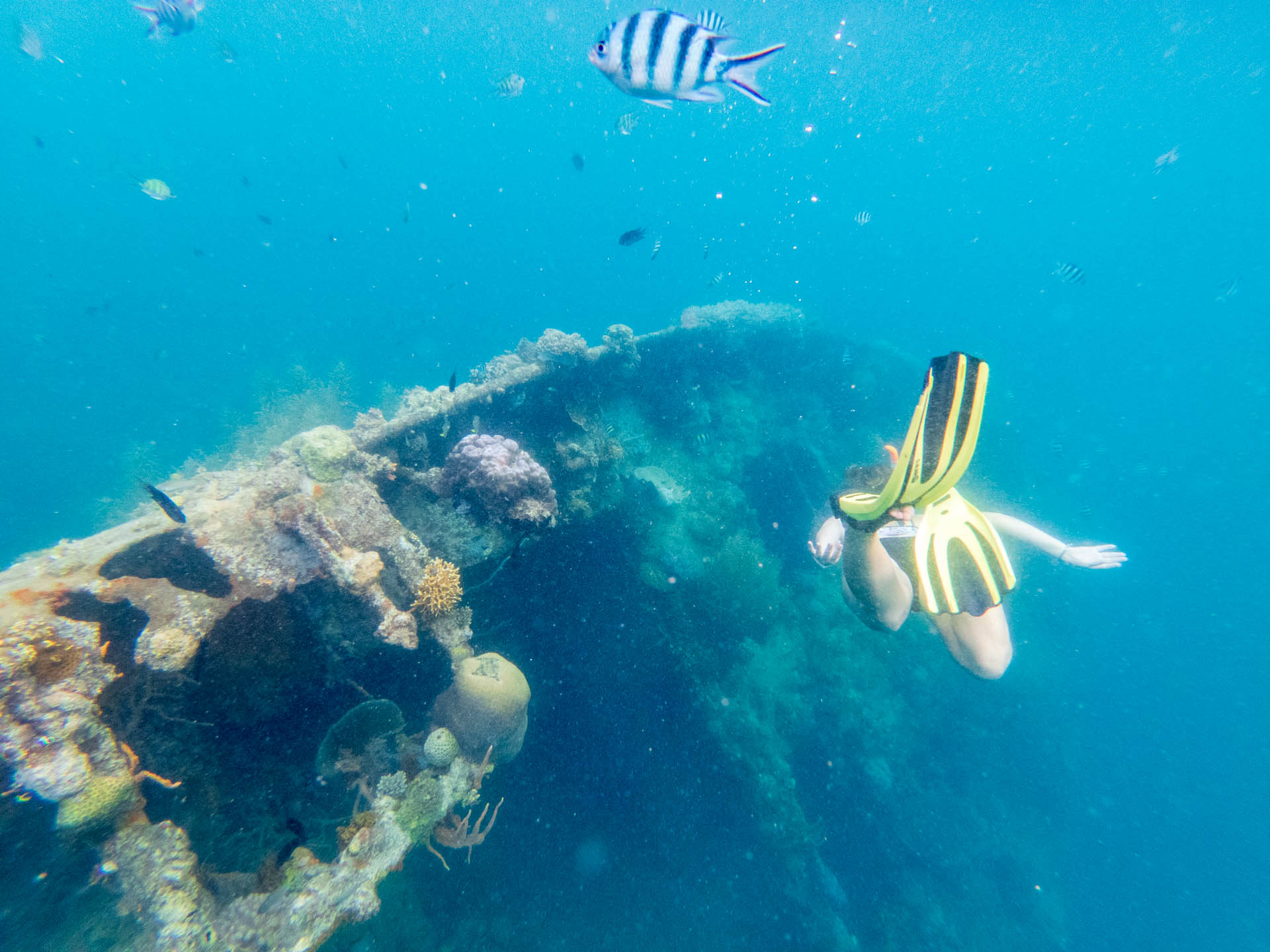 coron épave snorkeling